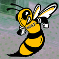 Yellowjackets mascot photo.