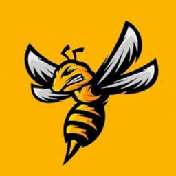 SAR