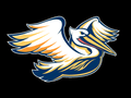 Pelicans mascot photo.