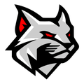 Wildcats mascot photo.