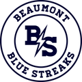 Blue Streaks mascot photo.
