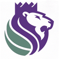 Node Kings mascot photo.