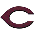 Wildcats mascot photo.