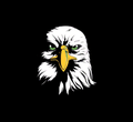 Eagles mascot photo.
