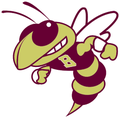 Yellow Jackets mascot photo.