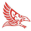 Falcons mascot photo.