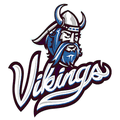 Vikings mascot photo.