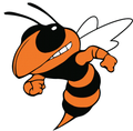 Fighting Hornets mascot photo.