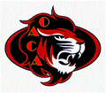 Lions mascot photo.