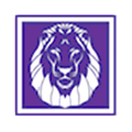 Lions mascot photo.
