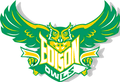 Owls mascot photo.