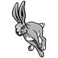 Rabbits mascot photo.