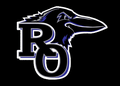 Ravens mascot photo.