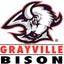 Grayville High School 