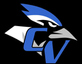 Blue Jays mascot photo.
