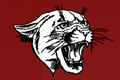 Cougars mascot photo.