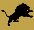 Lions mascot photo.