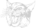 Wildcats mascot photo.