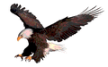 Eagles mascot photo.