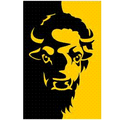 Golden Buffalo mascot photo.