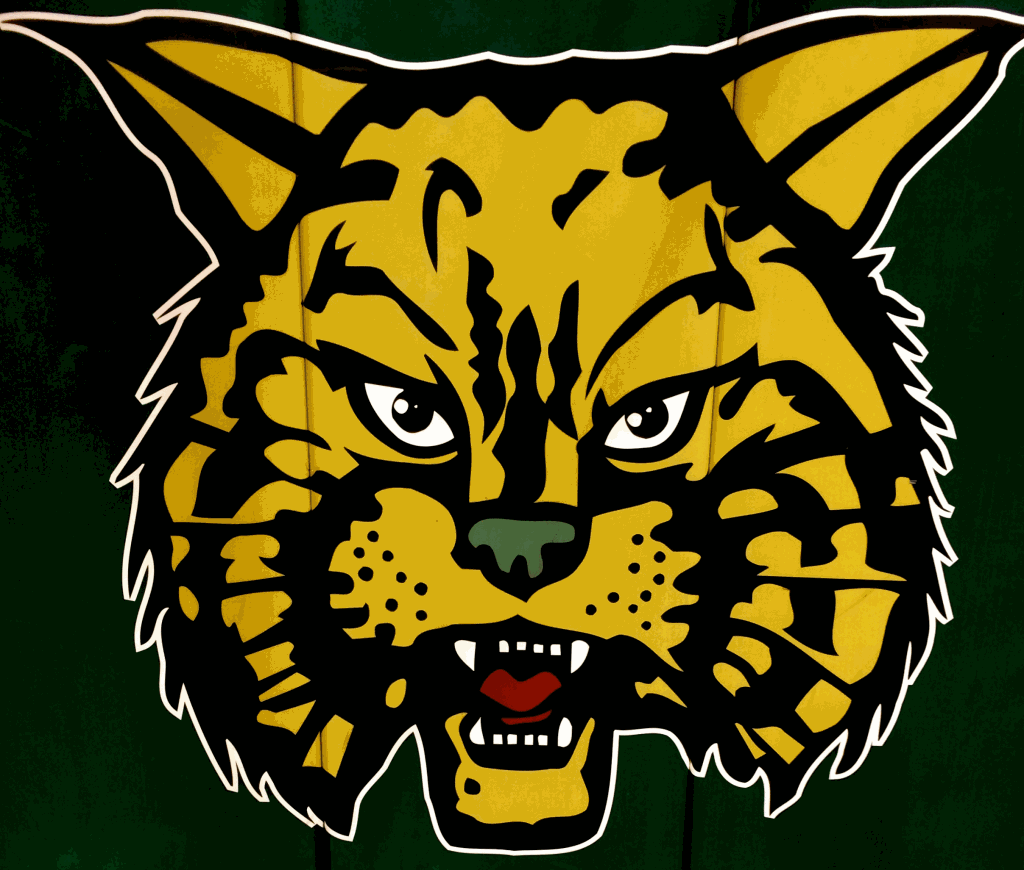 William Tolliver Jr. WCHS, Woodville, MS MaxPreps