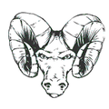 Rams mascot photo.