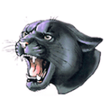 Panthers mascot photo.