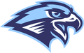 Falcons  mascot photo.