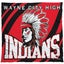 Wayne City/Cisne High School 
