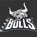 Bulls mascot photo.