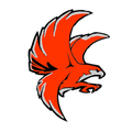 Falcons mascot photo.