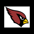 Cardinals mascot photo.