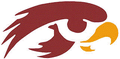 Hawks mascot photo.