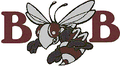 Bees mascot photo.