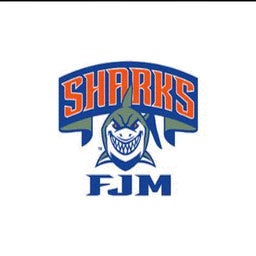 Frank J. Macchiarola