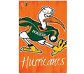 Hurricanes mascot photo.