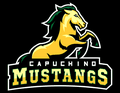 Mustangs mascot photo.