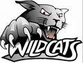 Wildcats mascot photo.