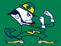 Fightin' Irish mascot photo.