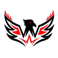 Fire Hawks mascot photo.