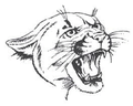 Panthers mascot photo.