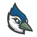 Blue Jays mascot photo.