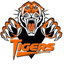 Houston Spring Woods logo