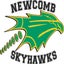 Newcomb High School 