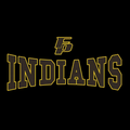 Indians mascot photo.