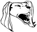 Salukis mascot photo.