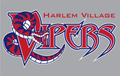 Vipers mascot photo.