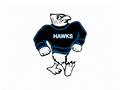 Hawks mascot photo.