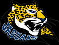 Jaguars mascot photo.
