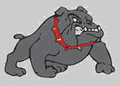 Bulldogs mascot photo.